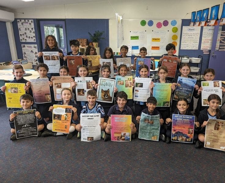 website photos - 296